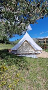 una tienda blanca sentada en la hierba bajo un árbol en Tente Lodge TIPI A 1H de Nice CLAIR DE LUNE, en Bézaudun-les-Alpes