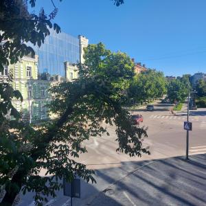 uma vista para uma rua da cidade com uma árvore em Loft city center em Poltava