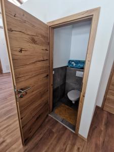 Koupelna v ubytování Ferienwohnungen Steinbichl + 36 fotografií