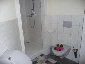 a bathroom with a toilet and a shower with a flower pot at Vakantieappartement Eldeufer II in Plau am See