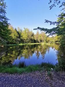 un estanque en medio de un bosque en Chalet - gîte avec étang, en Deneuvre