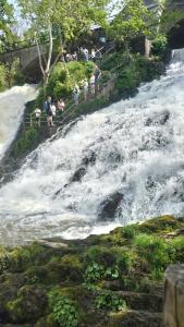a group of people standing on the steps of a waterfall at Trees Fontain in Jalhay