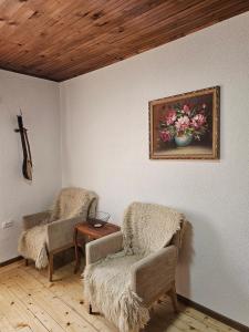 Gallery image of Traditional House Srna in Mojkovac