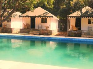 a house with a swimming pool in front of it at The Chocolate Frog in Udaipur