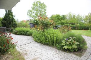 En have udenfor Villa Ostseeland Nienhagen