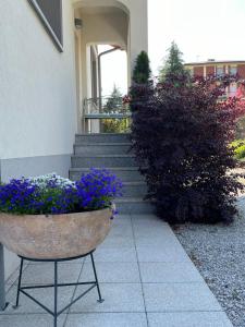 un vaso con fiori viola di fronte a un edificio di CasaNobile "Il Grano" a Merate