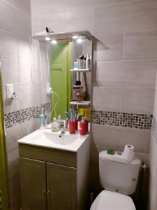 La salle de bains est pourvue d'un lavabo, de toilettes et d'un miroir. dans l'établissement Élisée-Perpignan, à Perpignan
