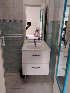 a bathroom with a sink and a shower and a mirror at Maison Tournebride in Meillac