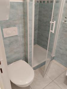 a bathroom with a toilet and a shower at Maison Tournebride in Meillac