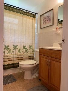 La salle de bains est pourvue de toilettes et d'un rideau de douche. dans l'établissement Chazz Doorway, à Homosassa