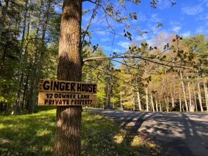 Příroda nedaleko prázdninového domu