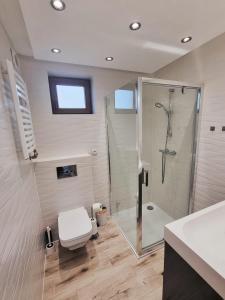 ein Bad mit einer Dusche, einem WC und einem Waschbecken in der Unterkunft Apartament z kominkiem nad Jeziorem Czorsztyńskim in Frydman