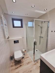 Łazienka w obiekcie APARTAMENT Z POMOSTEM nad Jeziorem Czorsztyńskim