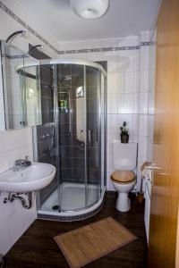 ein Bad mit einer Dusche, einem WC und einem Waschbecken in der Unterkunft Haus Solveig in Wieda