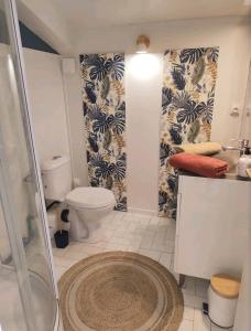 uma casa de banho com um chuveiro, um WC e um lavatório. em Chambre climatisée entre mer et montagne, avec SDB et WC privatifs em Laroque-des-Albères