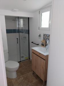 a bathroom with a toilet and a shower and a sink at Studio Versailles Woods in Jouy-en-Josas