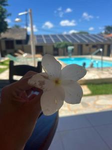 Brisa da Serra Hotel Pousada Pirenopolis内部或周边的泳池