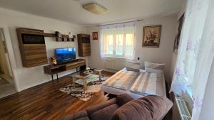 Miuti Residence في تيبرغ: غرفة معيشة مع أريكة وتلفزيون