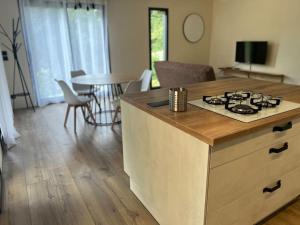 Η κουζίνα ή μικρή κουζίνα στο Maison en bois à Entrechaux +7 φωτογραφίες