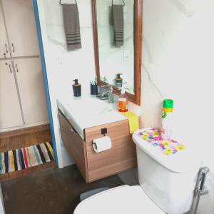 ein Badezimmer mit Waschbecken, Toilette und Spiegel in der Unterkunft Casa Quinta do Paiol in São Bento do Sapucaí