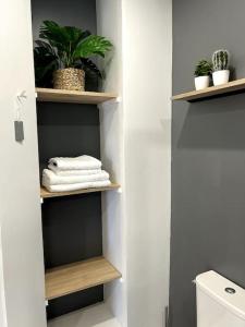 a bathroom with a shelf with towels and plants at Appartement de la plage in Barneville-Carteret