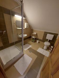 a bathroom with a shower and a toilet at Brónok-völgy Vendégház in Erdőbénye +24 photos