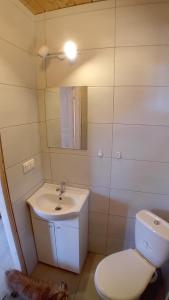 a bathroom with a white toilet and a sink at Zacisze in Sarbinowo +11 photos