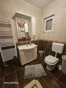 a bathroom with a toilet and a sink at Villa Kasinda in Sarajevo