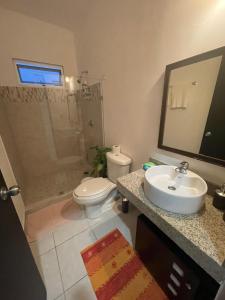 ein Bad mit einem WC, einem Waschbecken und einer Dusche in der Unterkunft Home's Jungle 15 Minutes from the Airport in Cancún