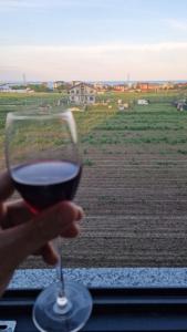 a person holding a glass of wine in front of a field at Studio Miru in Agigea +11 photos