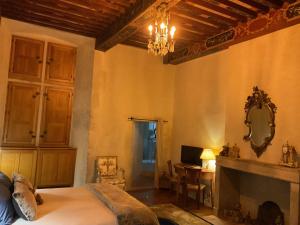 1 dormitorio con cama, chimenea y espejo en La Réserve de Rilhat, en Cognat-Lyonne