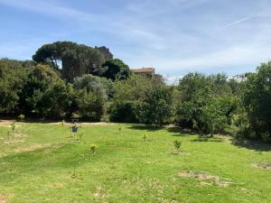 a person standing in a field of grass at U FARNIENTE in Patrimonio