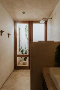La salle de bains est pourvue d'un lavabo et d'une fenêtre avec une plante en pot. dans l'établissement Casona los Cedros, à Espita