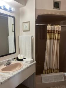 美貢提克湖的住宿－樂城堡汽車旅館，一间带水槽和淋浴的浴室