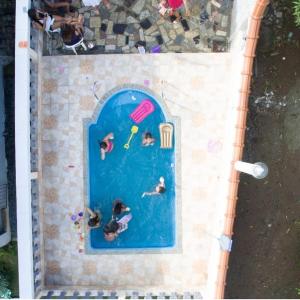 a group of people swimming in a swimming pool at Pousada Recanto Das Palmeiras in Búzios