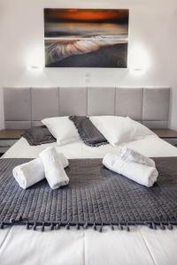 Gallery image of Vila Aleka in Nei Poroi