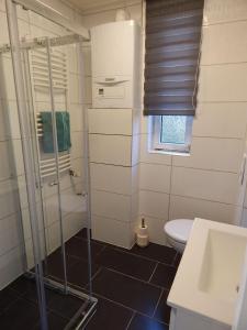 uma casa de banho com um chuveiro, um WC e um lavatório. em Wunderschoenes-freihstehendes-Ferienhaus-an-der-See-Sauna-Strand-Yachthafen-WLAN em Bruinisse