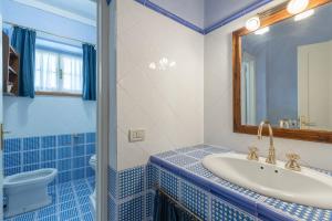 uma casa de banho azul e branca com um lavatório e um WC em casale vergheria em Magliano in Toscana