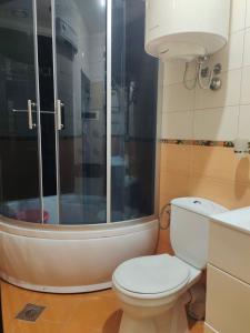 ein Bad mit einer Dusche, einem WC und einem Waschbecken in der Unterkunft Bright Dreams Apartments in Bar