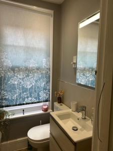 baño con aseo y lavabo y ventana en Contemporary 2 Bedroom Flat in Lewes en Lewes