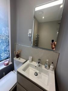 雷威斯的住宿－Contemporary 2 Bedroom Flat in Lewes，一间带水槽和镜子的浴室