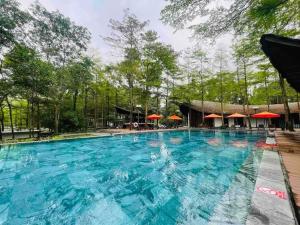 Bazén v ubytování Dai Lai Resort- Forest Villa nebo v jeho okolí