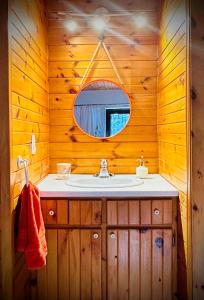 a bathroom with a sink and a mirror at Waterfront Chalet Serendipity Hideaway - Cachette Sérendipité - Swim SUPs BBQ Relax w Wifi in Chertsey