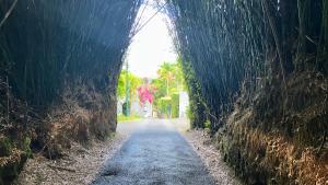 a tunnel leading down a dirt road at Le Cosy Andréa à Saint-André in Le Patelin +3 photos