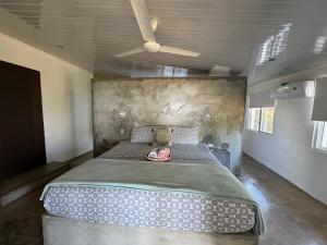 ein Schlafzimmer mit einem großen Bett in einem Zimmer in der Unterkunft La Maracuya Panama in Playa Coronado