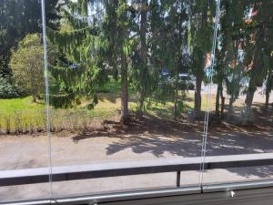 uma vista a partir de uma janela de um parque com árvores em Convenient Stay Helsinki em Helsinque