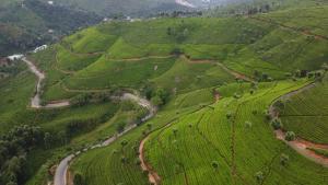 an aerial view of a green field with a road at Casa de Selas in Coonoor +5 photos