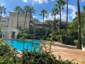 a swimming pool with palm trees and a building at Agréable chambre et salle de bain privée dans notre appartement partagé in Cannes