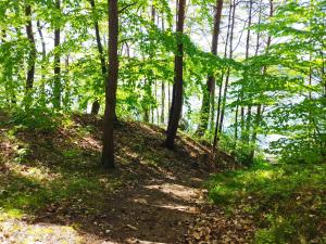 Fotografie z fotogalerie ubytování Domek pod Leszczyną na Kaszubach v destinaci Stężyca + 41 fotografií
