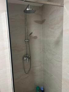 une douche avec pommeau de douche dans une salle de bain dans l'établissement Apartment Veljko Becici, à Becici
